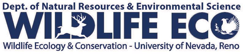 University Marketing Design