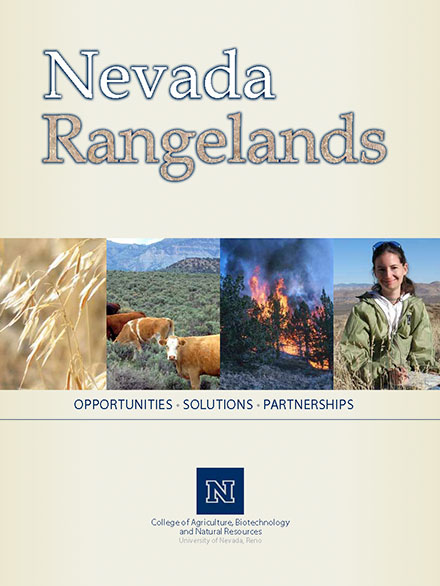 University Marketing Design