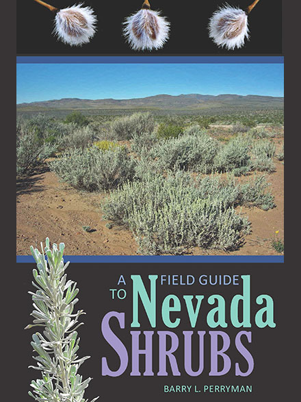 University Marketing Design