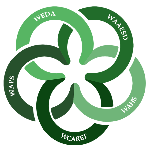 University Marketing Design